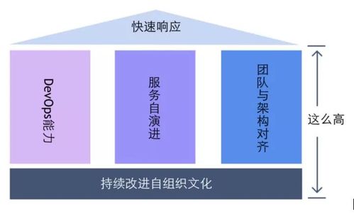 阿里資深架構師視角 數字化轉型的新時代技術底座與項目策劃服務革新